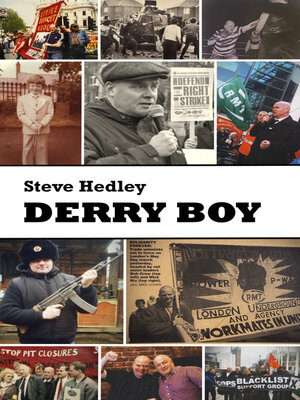 cover image of Derry Boy